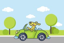 Animal Happy Drive Coloring Logo