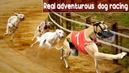 Crazy Dog Racing Game 2020 Logo