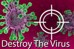 Destroy The Virus Logo