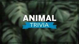 Animal Trivia Logo