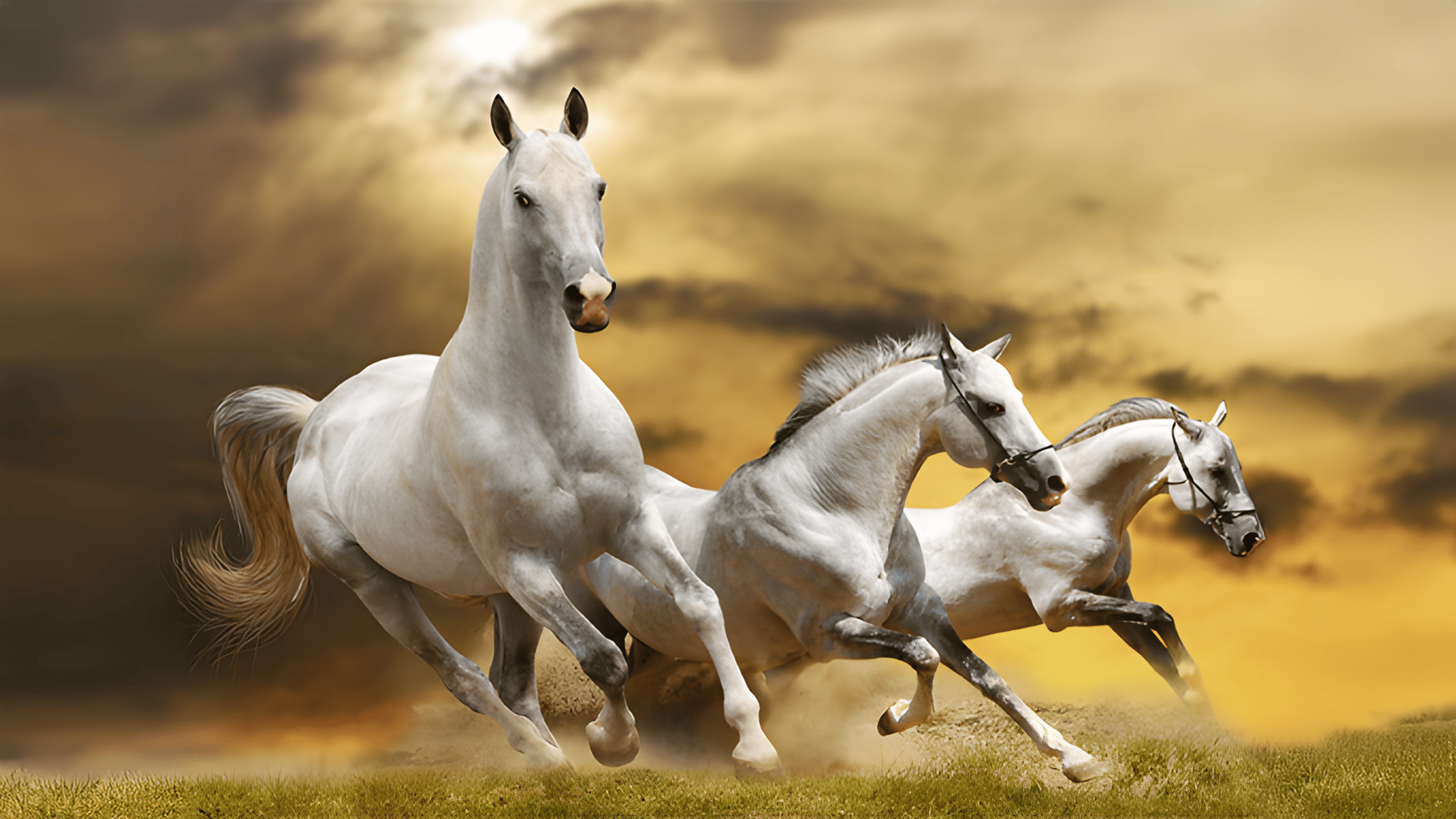 Running Horse Slide Logo