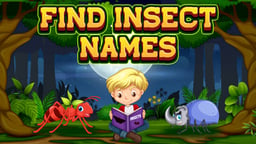 Find Insects Names Logo