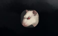 Rat Clicker 2 Logo