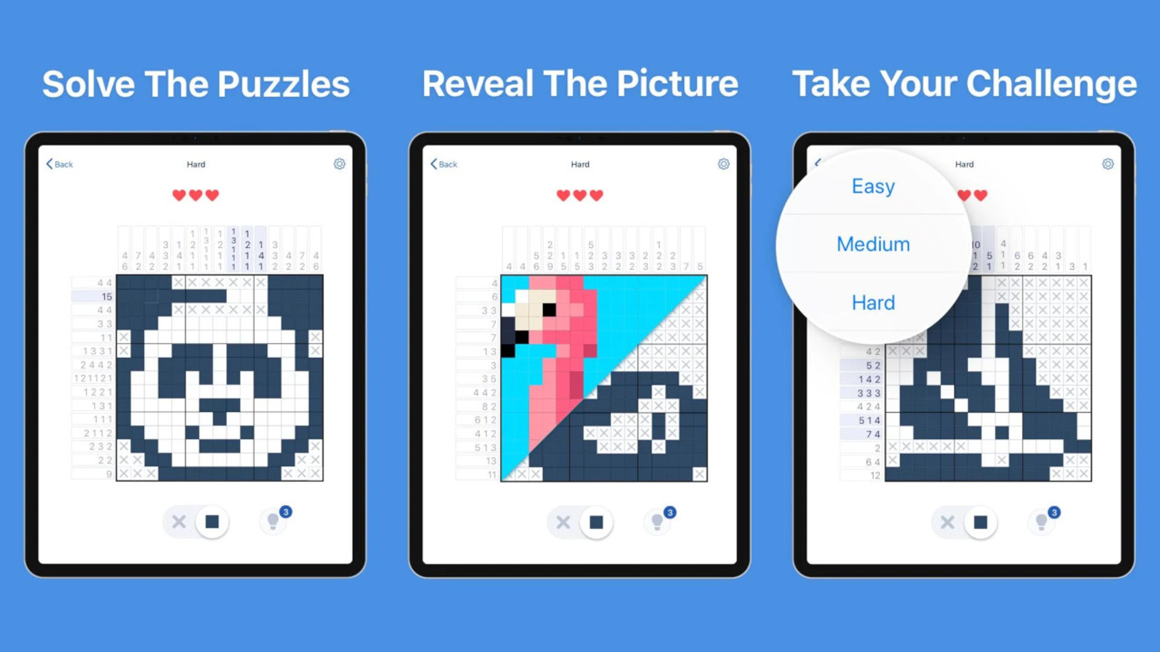 Nonogram Picture Cross Logo