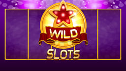 Wild Slot Logo
