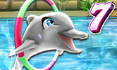My Dolphin Show 7 Logo