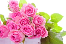 Pink Roses Puzzle Logo