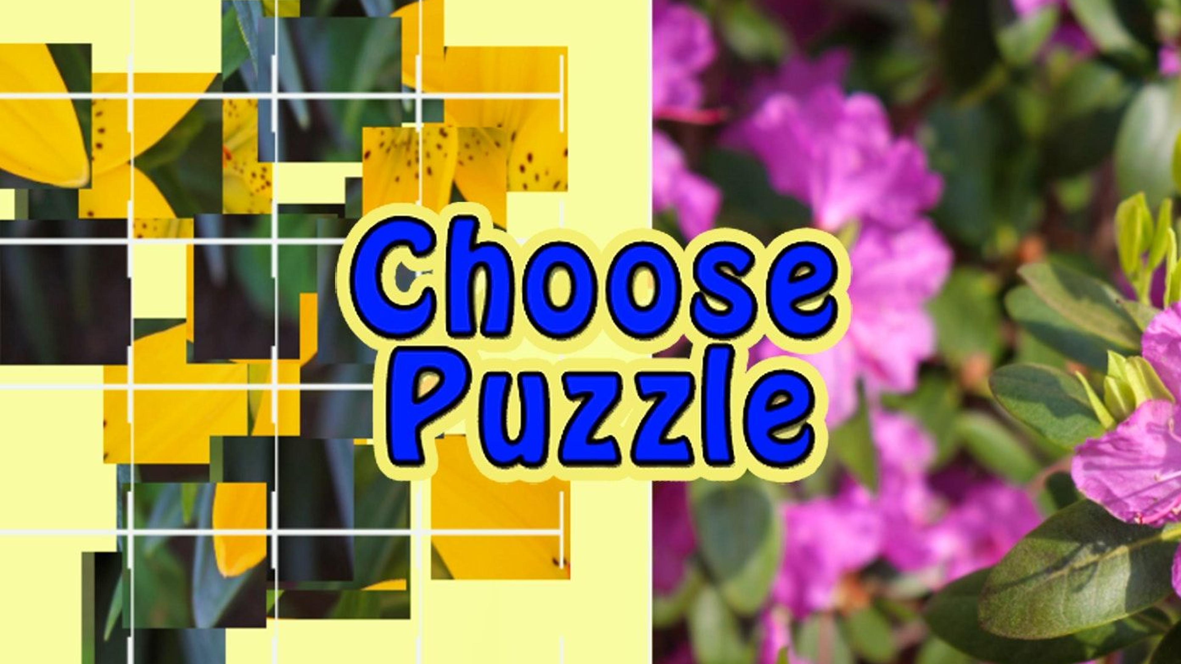 Choose Puzzle Logo