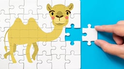 Bactrian camel Puzzle Challenge  Logo