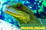Chinese Water Dragon Jigsaw Logo