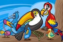 Exotic Birds Coloring Logo