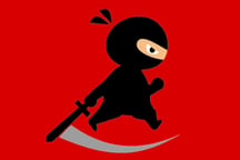 Mr Ninja Fighter Logo