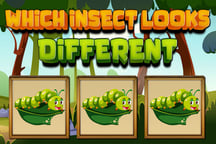 Which Insect Looks Different Logo