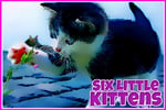 Six Little Kittens Logo