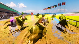 Horse Racing Games 2020 Derby Riding Race 3d Logo