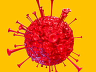 Fight Virus Logo