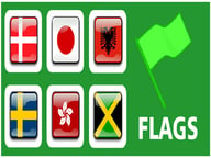 EG Flags Memory Logo