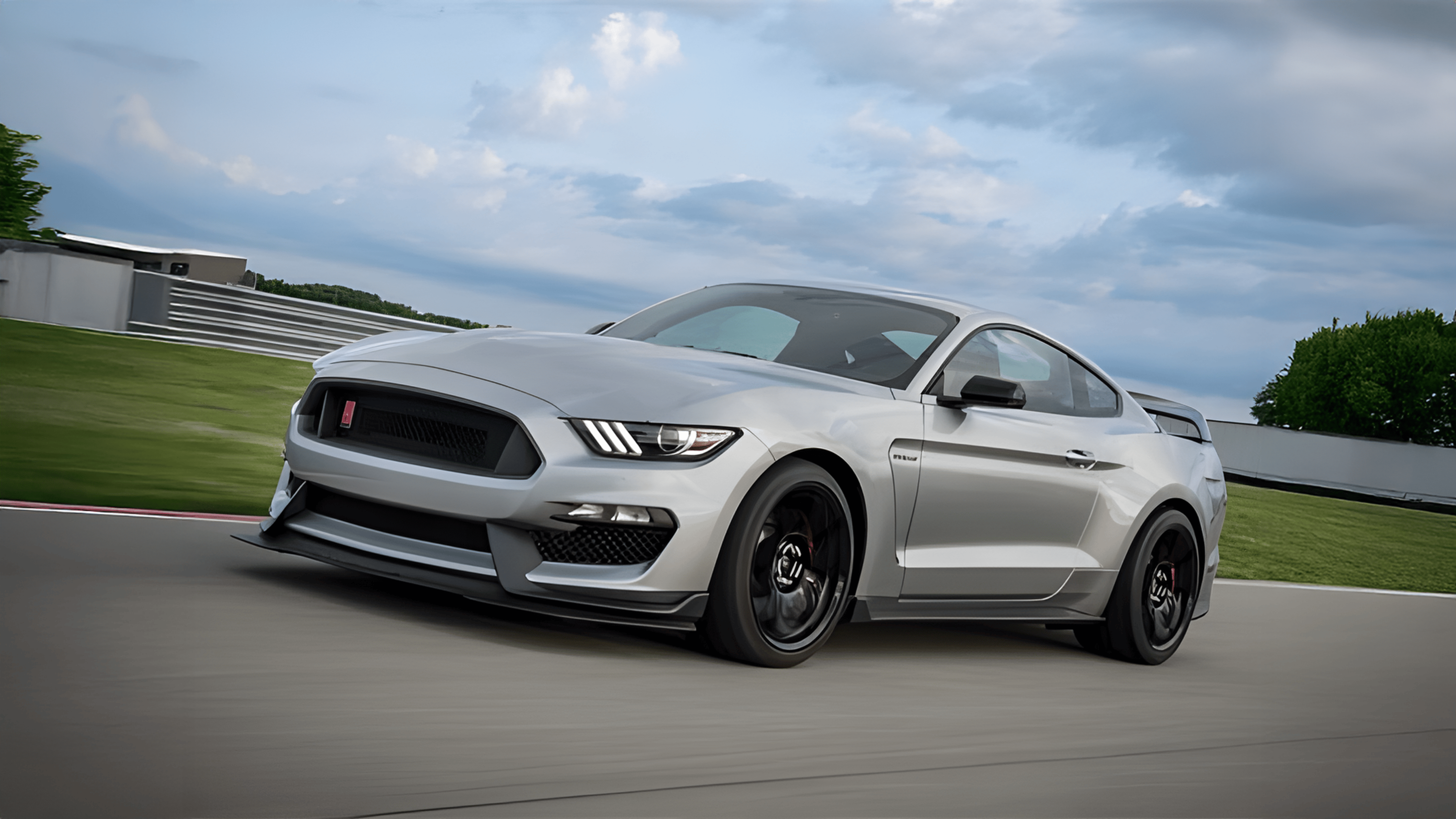 Mustang Shelby Puzzle Logo
