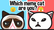 Which meme cat are you? Logo