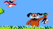 Duck Hunt Logo