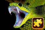 Snake Puzzle Challenge Logo