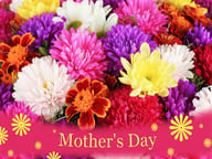 2019 Mother's Day Puzzle Logo