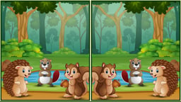 Spot The Differences Forests Logo