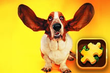 Funny Dogs Puzzle Logo