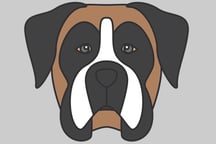 Doggy Face Coloring Logo