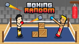 Boxing Random Logo