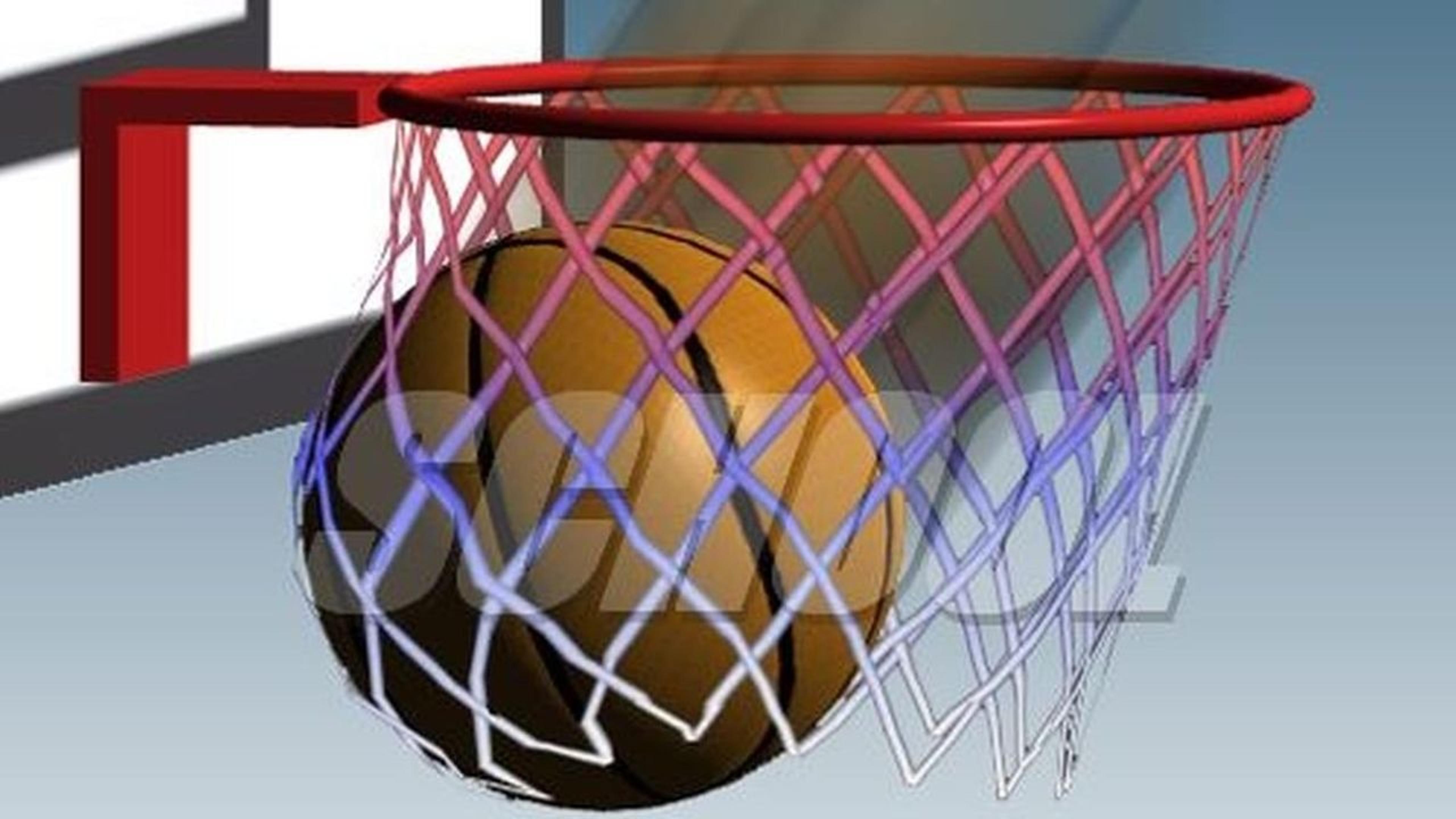 Basketball School Logo