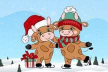 Cute Christmas Bull Difference Logo
