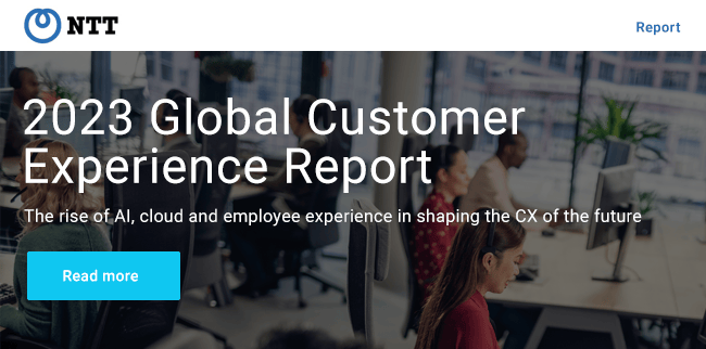 2023 Global Customer Experience Report.