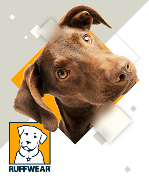 250x300_ruffwear@2x-min