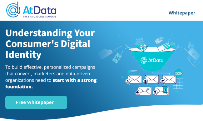 Understanding Your Consumer's Digital Identity - Free Whitepaper