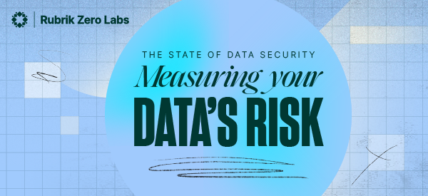 The state of data security - measuring your data's risk