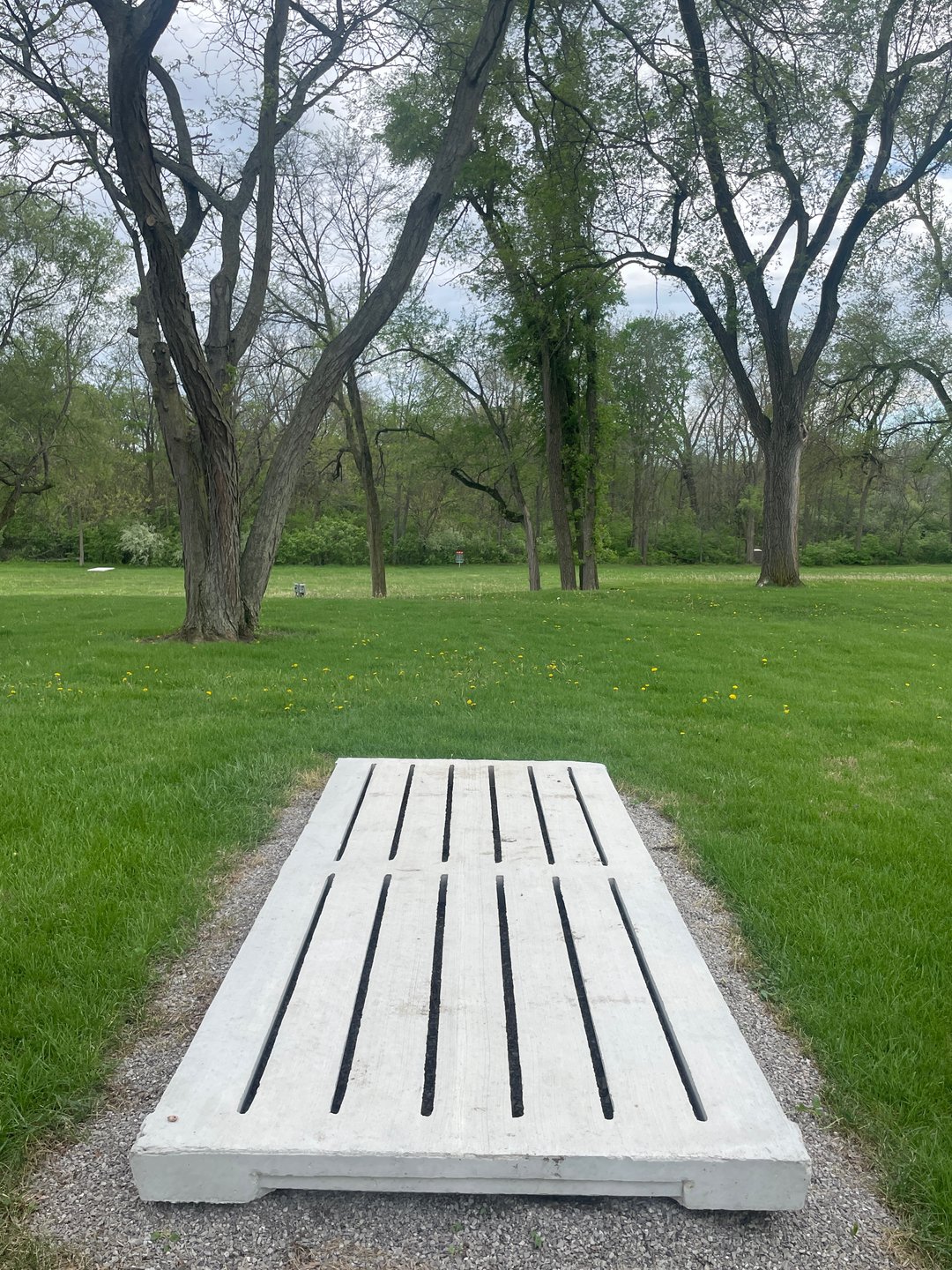 Hole 8 Long Tee Position. Basket is straight ahead. Double mando between 2 trees straight ahead.