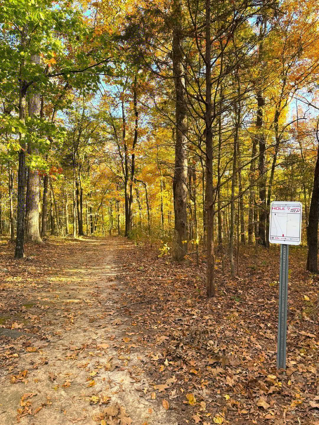Hole 7 From the Tee Pad