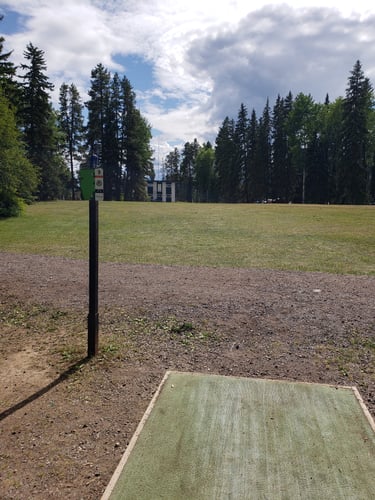 Straight shot to basket #9. Distance is 30' longer than sign (350')