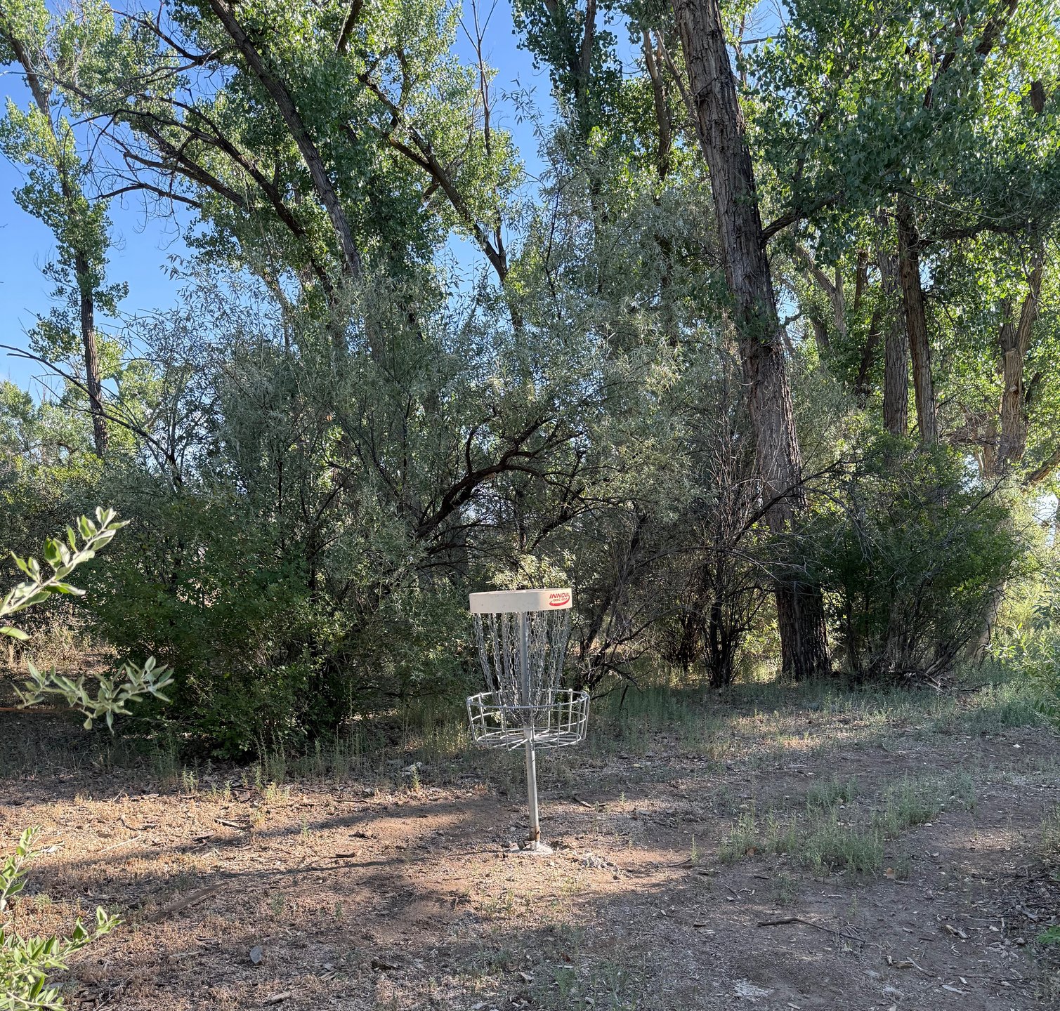 The short basket of hole 2. This basket is off the left side of the walking path.