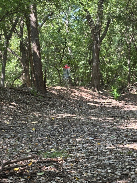 Red 12 pin on small rise with drop beyond and left.