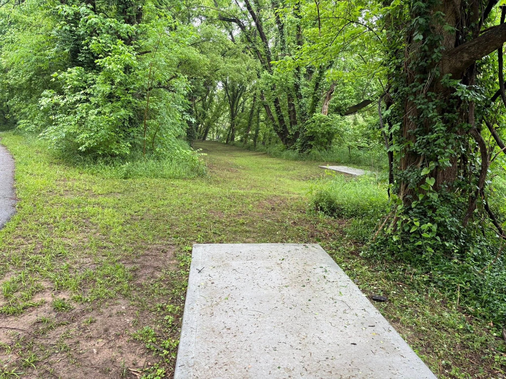 Hole 6 Long Tee