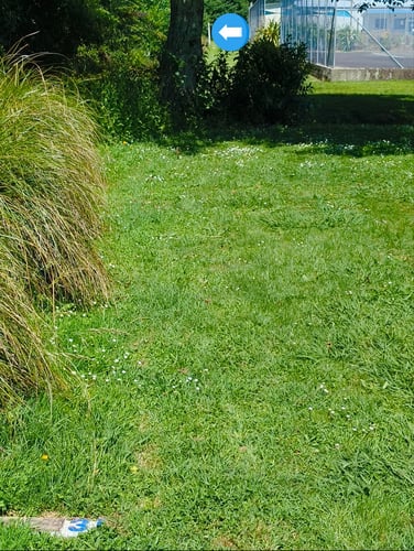 T3 to marker pole or pop up basket