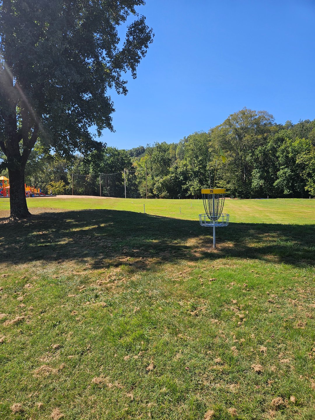 Behind Short Basket, Looking back up fairway. OB Beyond White Stakes.