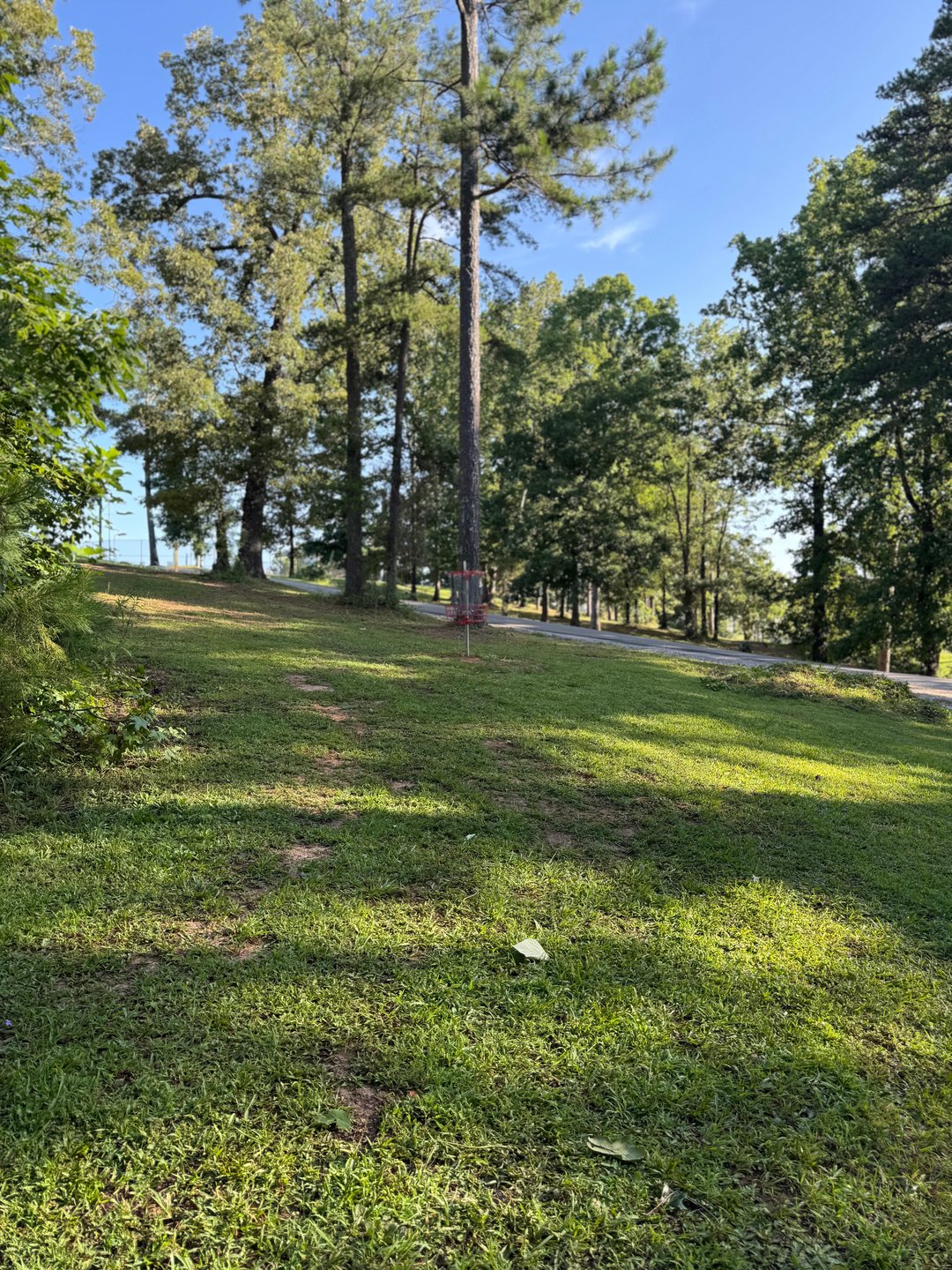 Hole 16 green