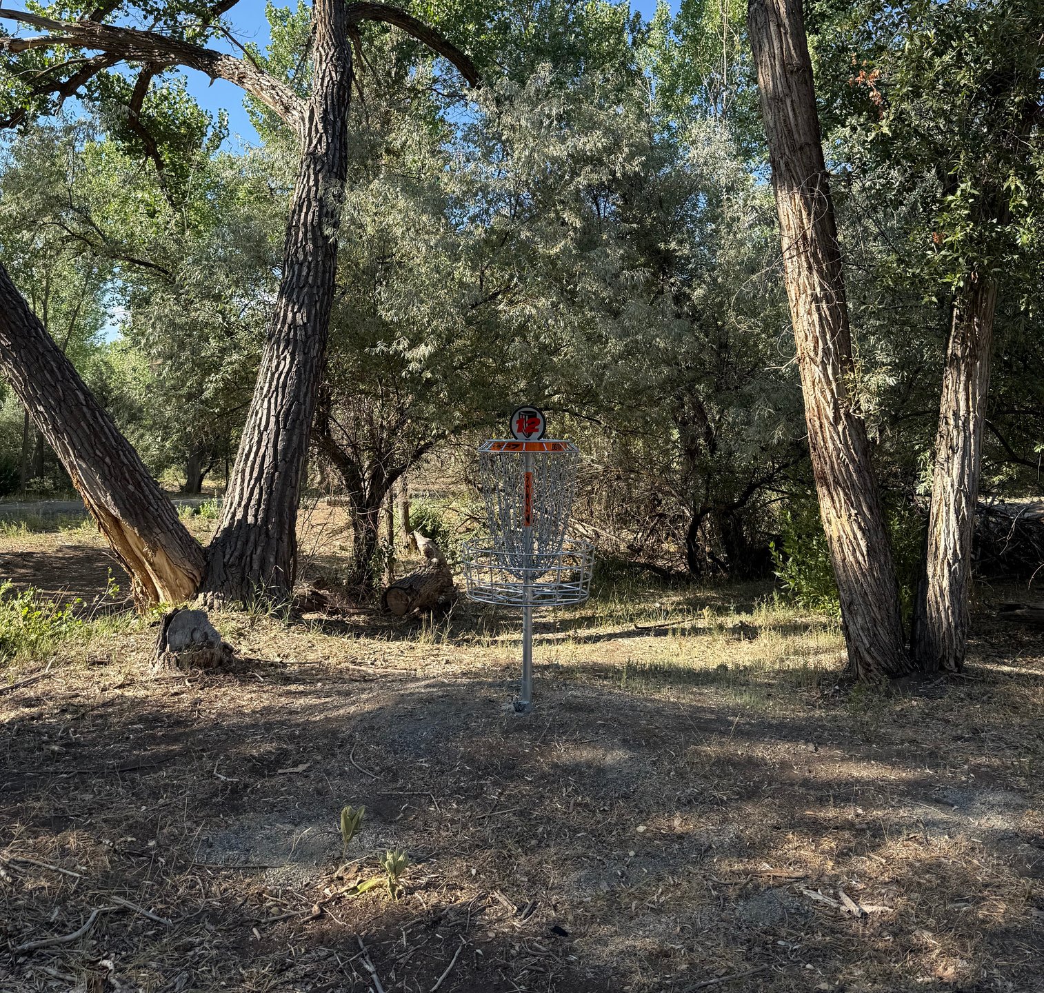 The long basket of hole 12.