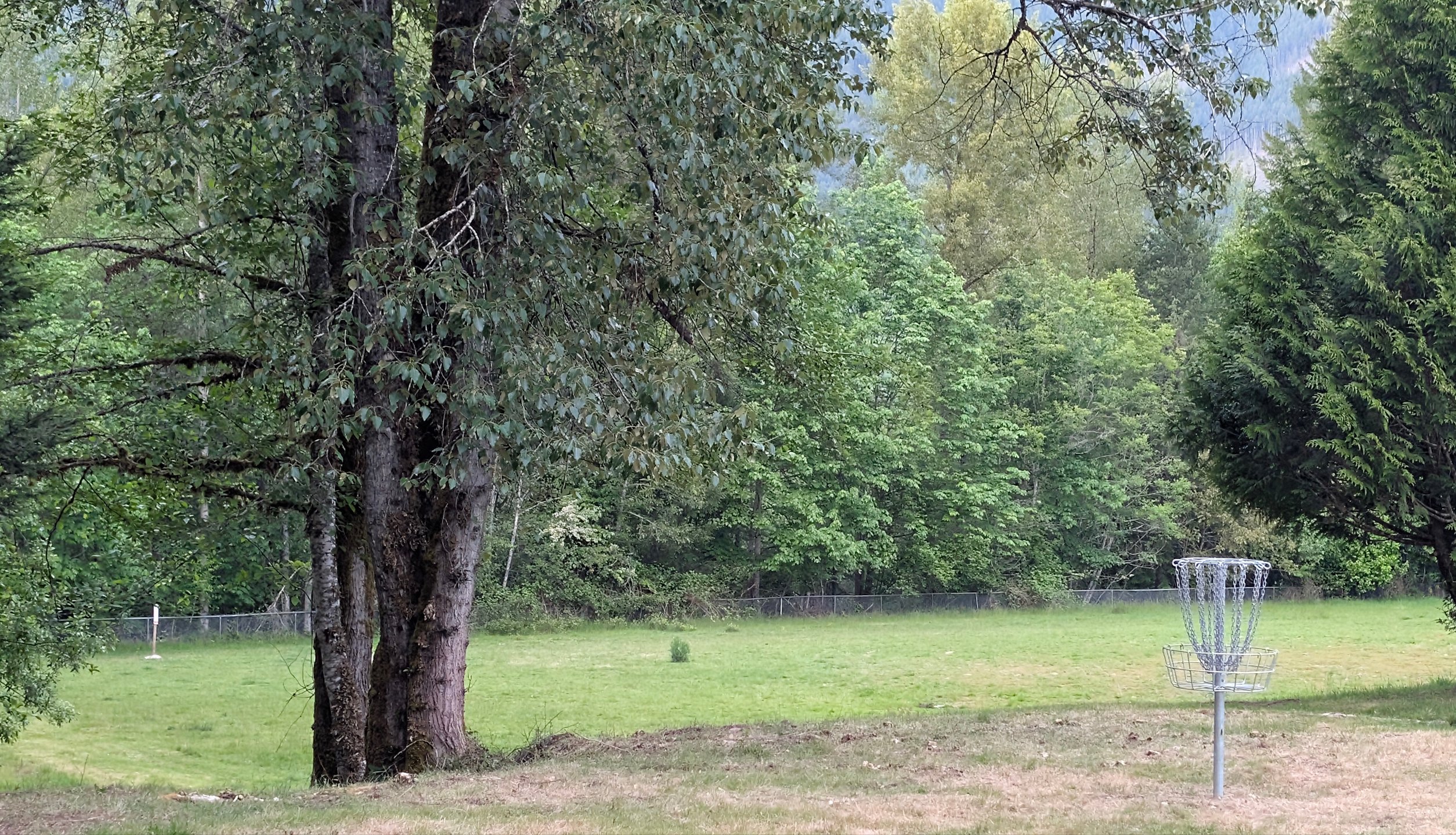 Greenwell DGC