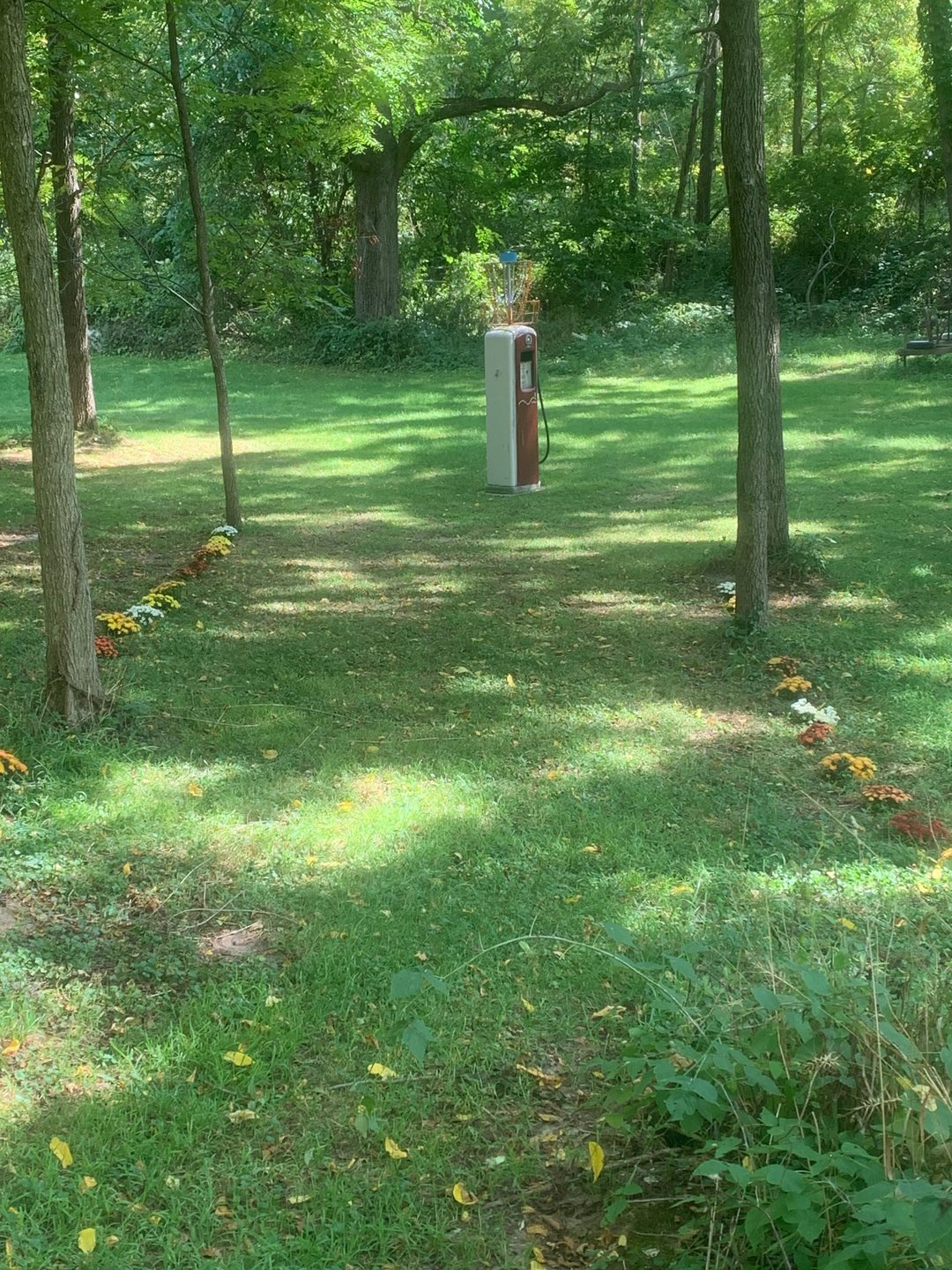 About 100’ from basket 