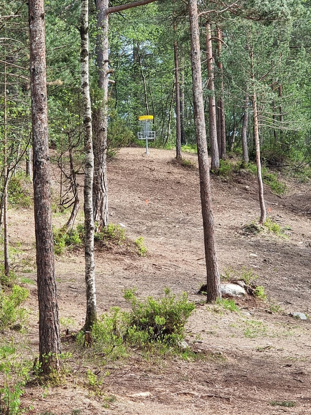 Fairway on hole 1