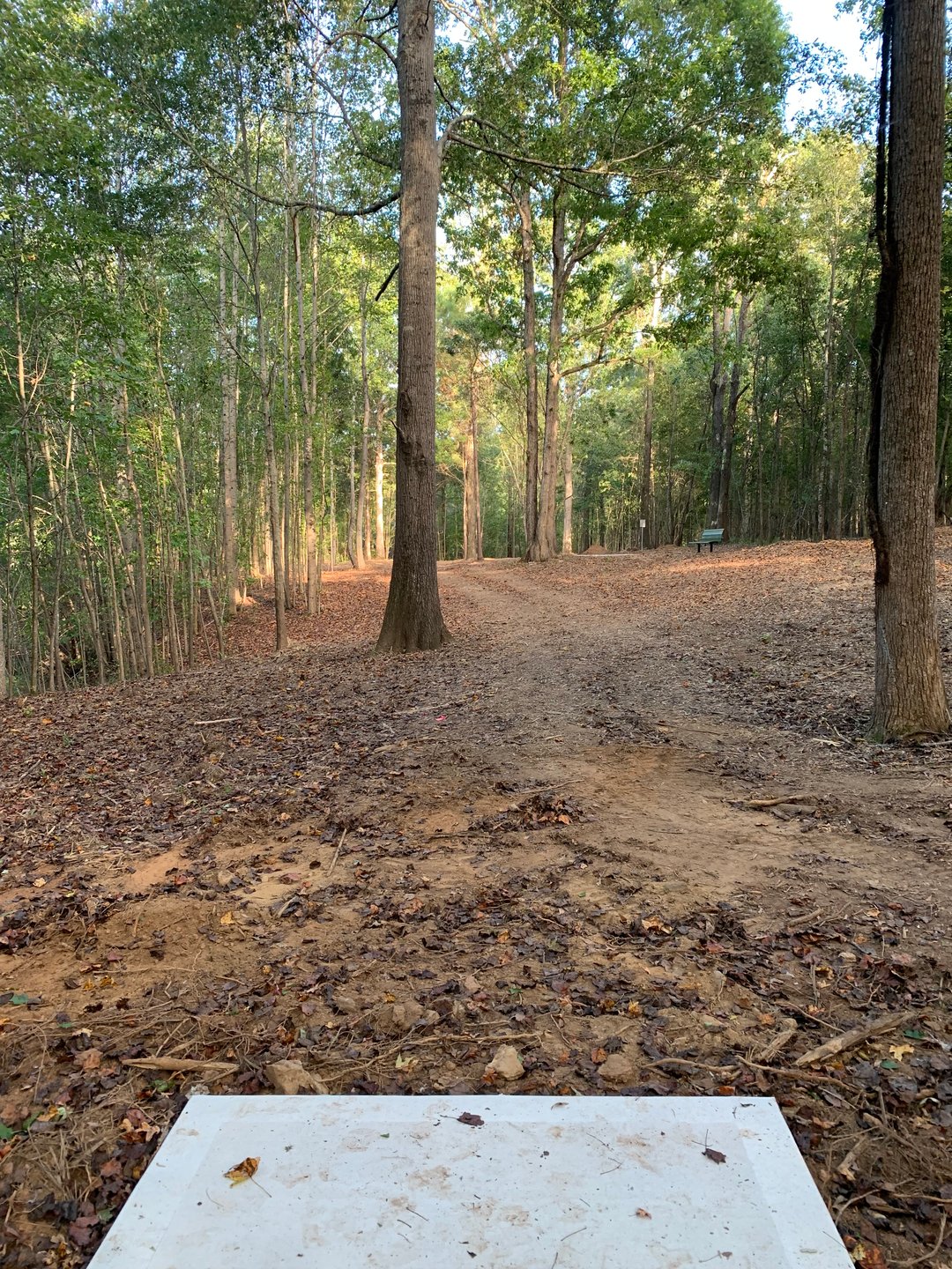 Hole 16 - Gold Tee (under construction)